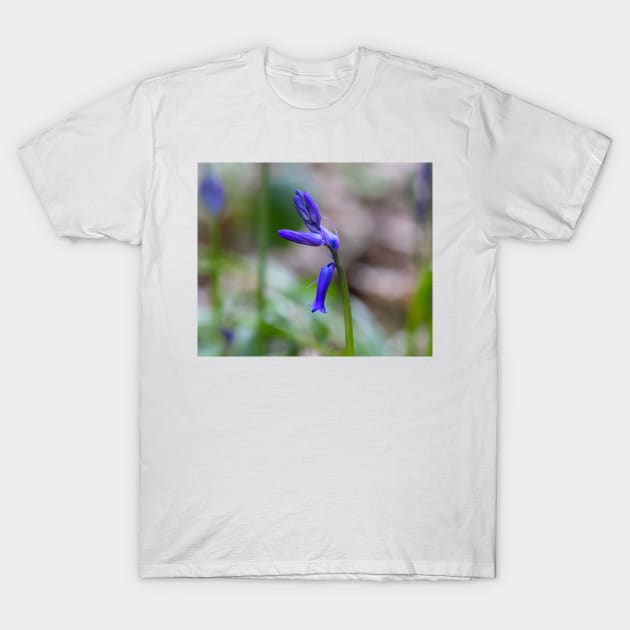 Bluebell - woodland flower T-Shirt by HazelWright